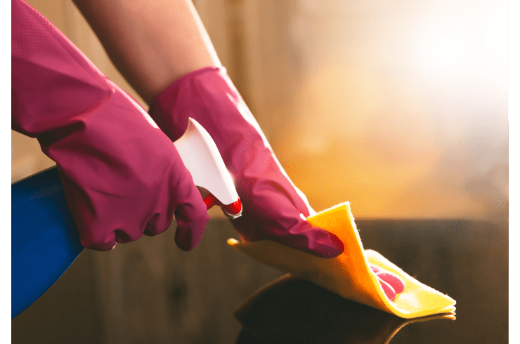 Loyalty Cleaning Services